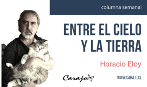 Horacio Eloy columna